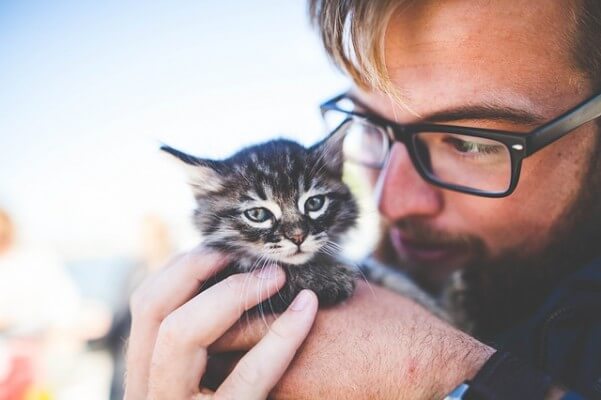 Kündigung Tierkrankenversicherung wechseln Mann mit Katze